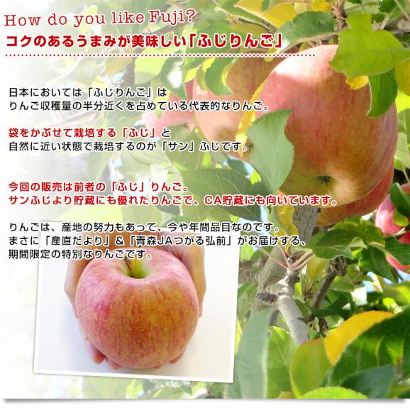 青森県より産地直送 JAつがる弘前 ふじ (有袋栽培) CA貯蔵品 約3キロ (9から13玉) 送料無料 りんご リンゴ 林檎05