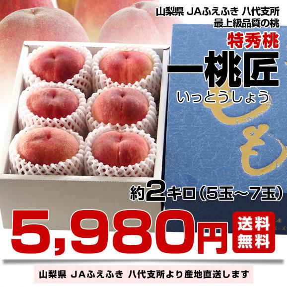 山梨県より産地直送 JAふえふき八代支所 八代の特秀桃 一桃匠 (いっとうしょう) 約2キロ (5玉から7玉) 送料無料 もも モモ 笛吹　ギフト 夏ギフト お中元 御中元03