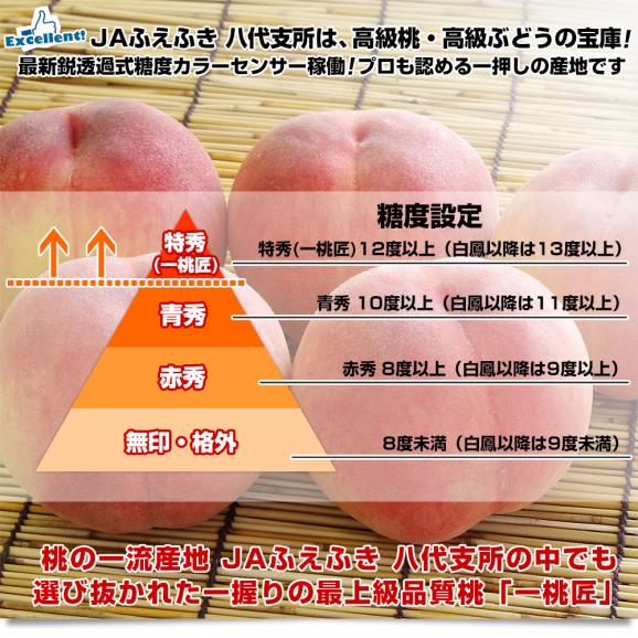 山梨県より産地直送 JAふえふき八代支所 八代の特秀桃 一桃匠 (いっとうしょう) 約2キロ (5玉から7玉) 送料無料 もも モモ 笛吹 ギフト 夏ギフト お中元 御中元04