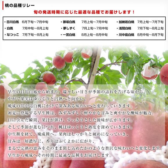 山梨県より産地直送 JAふえふき八代支所 八代の特秀桃 一桃匠 (いっとうしょう) 約2キロ (5玉から7玉) 送料無料 もも モモ 笛吹 ギフト 夏ギフト お中元 御中元05