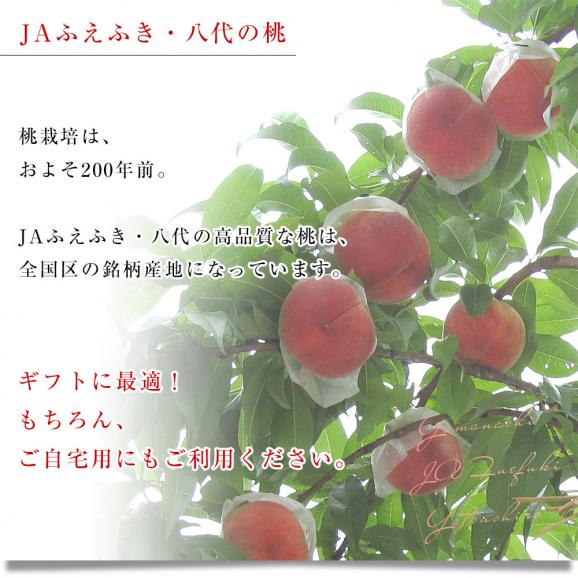山梨県より産地直送 JAふえふき八代支所 八代の特秀桃 一桃匠 (いっとうしょう) 約2キロ (5玉から7玉) 送料無料 もも モモ 笛吹 ギフト 夏ギフト お中元 御中元06