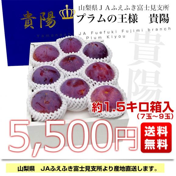 山梨県より産地直送 JAふえふき 富士見の貴陽 約1.5キロ (7玉から9玉) 送料無料 プラム ぷらむ03