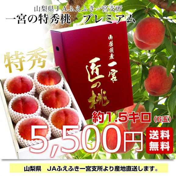 山梨県より産地直送 JAふえふき 一宮支所 一宮の特秀桃 プレミアム 約1.5キロ 6玉入 送料無料 もも お中元ギフト03