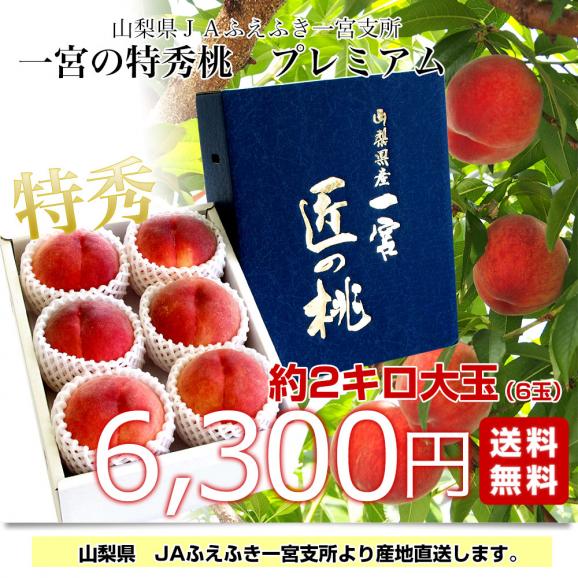山梨県より産地直送 JAふえふき 一宮支所 一宮の特秀桃 プレミアム 2キロ 大玉6玉入 送料無料 もも ギフト 夏ギフト お中元 御中元03