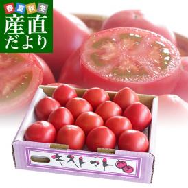 茨城県より産地直送　JAなめがたしおさい　フルーツトマト　キストマト　LからMサイズ　約1キロ（10から16玉）
