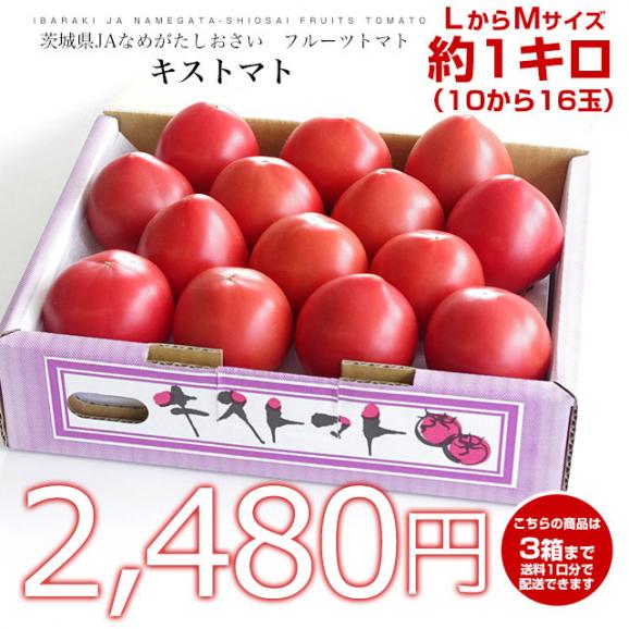 茨城県より産地直送　JAなめがたしおさい　フルーツトマト　キストマト　LからMサイズ　約1キロ（10から16玉）03