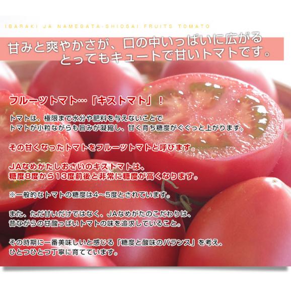 茨城県より産地直送　JAなめがたしおさい　フルーツトマト　キストマト　LからMサイズ　約1キロ（10から16玉）04