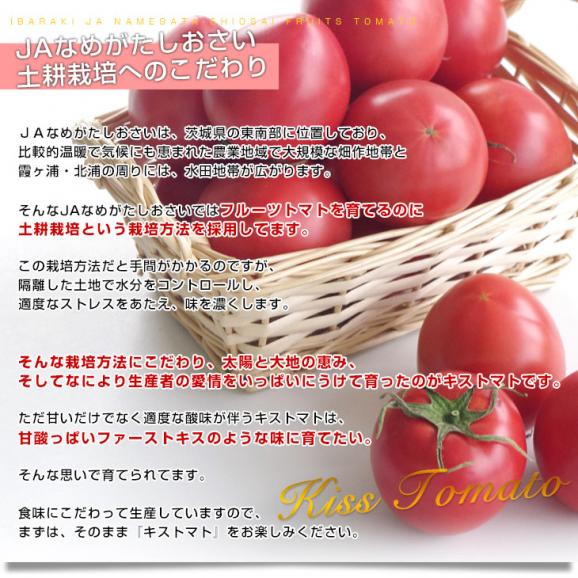 茨城県より産地直送　JAなめがたしおさい　フルーツトマト　キストマト　LからMサイズ　約1キロ（10から16玉）05