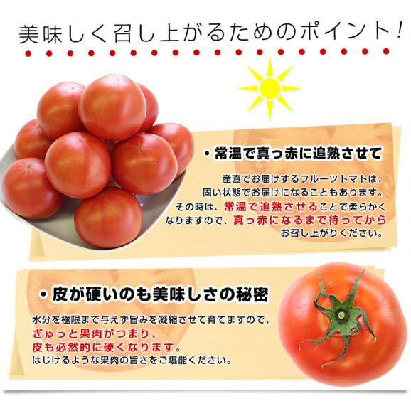 茨城県より産地直送　JAなめがたしおさい　フルーツトマト　キストマト　LからMサイズ　約1キロ（10から16玉）06