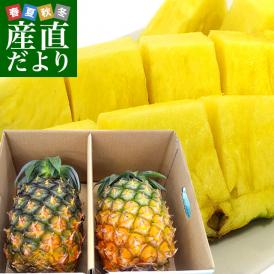 産地直送品！石垣島の定番パイナップル！人気の絶品味！