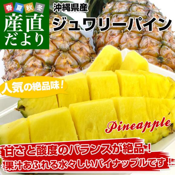 沖縄県より産地直送 JAおきなわ ジュワリーパイン2LからLサイズ2玉 (合計約2キロ) 沖縄パイン パイナップル 送料無料　クール便02