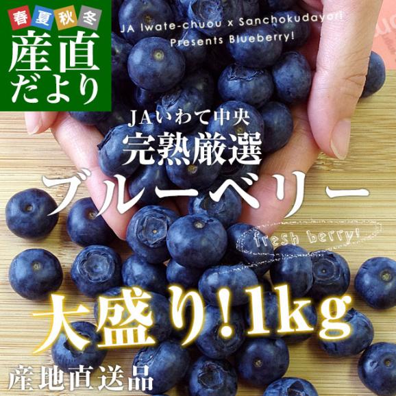 岩手県より産地直送 JAいわて中央 ブルーベリー Lサイズ 約500g×2箱 送料無料 ぶるーべりー ※クール便02