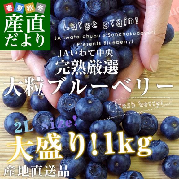 岩手県より産地直送 JAいわて中央 ブルーベリー 大粒 2Lサイズ 500g×2箱 送料無料 ぶるーべりー ※クール便02