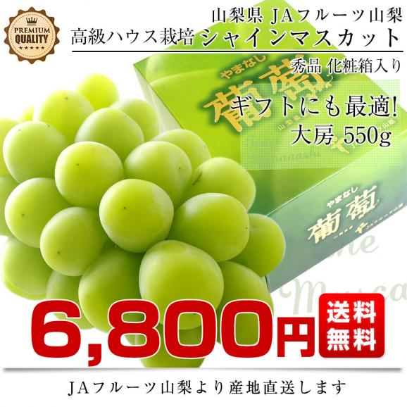 山梨県より産地直送 JAフルーツ山梨 シャインマスカット 秀品 大房1房入り 化粧箱 (約550g×1房) 送料無料 葡萄 ぶどうギフト 夏ギフト お中元 御中元03