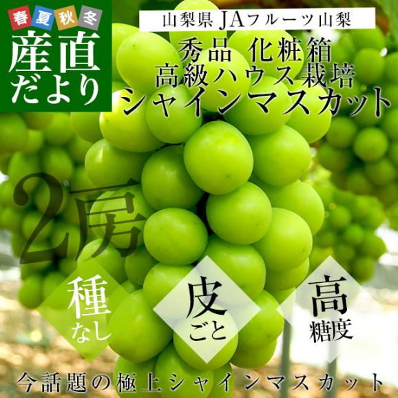 山梨県より産地直送 JAフルーツ山梨 シャインマスカット 秀品 大房2房入り 化粧箱 (約550g×2房)  送料無料 葡萄 ぶどうギフト 夏ギフト お中元 御中元02