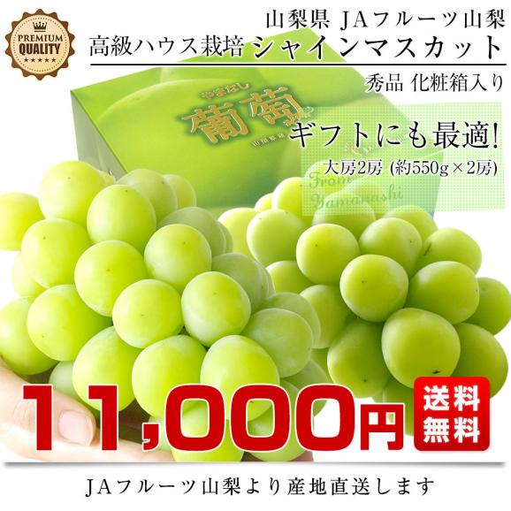 【お中元・夏ギフト】山梨県より産地直送 JAフルーツ山梨 シャインマスカット 秀品 大房2房入り 化粧箱 (約550g&times;2房)  送料無料 葡萄 ぶどうギフト お中元03
