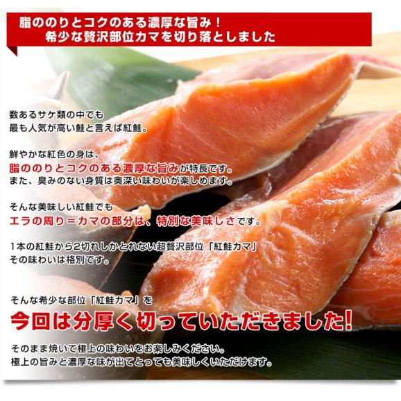 送料無料　北海道から直送　北海道加工　脂たっぷりの紅鮭カマ（ロシア産）500g（約4切から7切）×2袋セット04