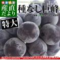 山梨県から産地直送 JAふえふき一宮支所 種なし巨峰 1.8キロ (大型3房) 送料無料 葡萄 ぶどう ※クール便