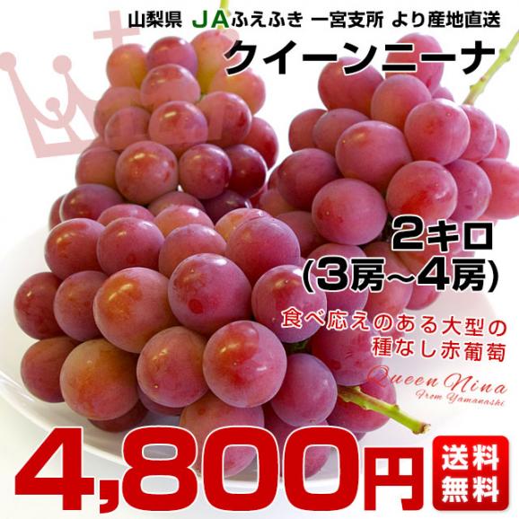 山梨県より産地直送 JAふえふき 一宮支所 クイーンニーナ 約2キロ (3房から4房) 送料無料 ぶどう ブドウ 葡萄03