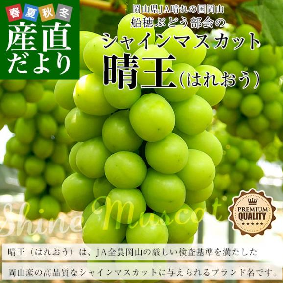 岡山県産 JA晴れの国岡山 船穂ぶどう部会 シャインマスカット 晴王 (はれおう) 秀品 2キロ (3房から4房) 葡萄 ぶどう 送料無料02