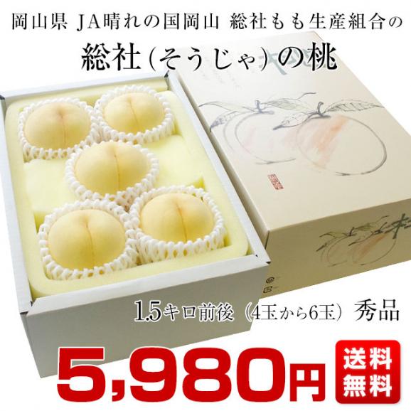 岡山県から産地直送 JA晴れの国岡山 総社もも生産部会 総社(そうじゃ)の桃　青秀以上 1.5キロ前後 (4玉から6玉) 総社の桃 モモ 送料無料03