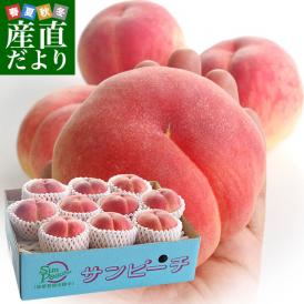 福島県より産地直送　JAふくしま未来 最高級ブランド桃「サンピーチ」 約3キロ（10玉から12玉） 送料無料　桃 もも　ピーチ