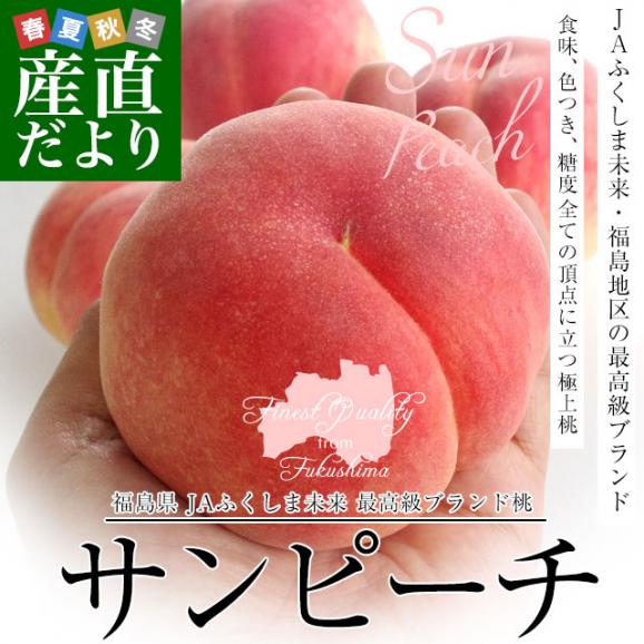 福島県より産地直送　JAふくしま未来 最高級ブランド桃「サンピーチ」 約3キロ（10玉から12玉） 送料無料　桃 もも　ピーチ02