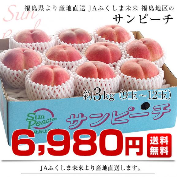 福島県より産地直送　JAふくしま未来 最高級ブランド桃「サンピーチ」 約3キロ（9玉から12玉） 送料無料　桃 もも　ピーチ03