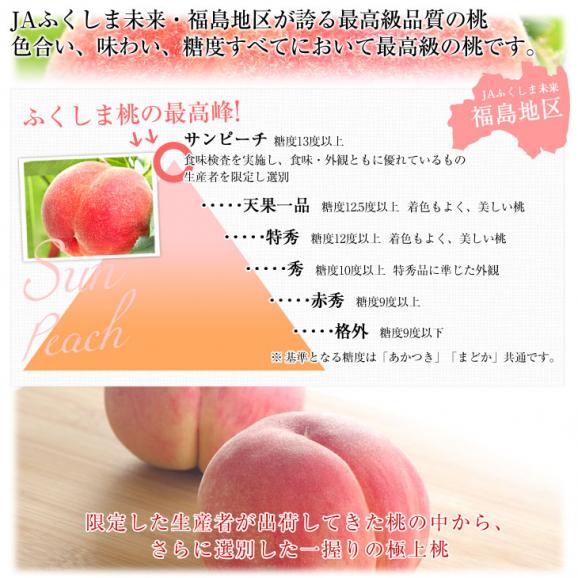 福島県より産地直送　JAふくしま未来 最高級ブランド桃「サンピーチ」 約3キロ（10玉から12玉） 送料無料　桃 もも　ピーチ04
