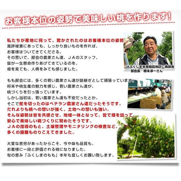 福島県より産地直送　JAふくしま未来 最高級ブランド桃「サンピーチ」 約3キロ（9玉から12玉） 送料無料　桃 もも　ピーチ06