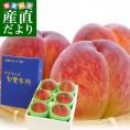 送料無料 山梨県より産地直送 JAフルーツ山梨 山梨支所 特秀桃 旬夏秀桃(しゅんかしゅうとう) (川中島白桃・幸茜・さくら白桃) 2キロ(6玉入) もも モモ