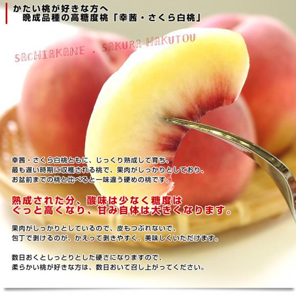 送料無料 山梨県より産地直送 JAフルーツ山梨 山梨支所 特秀桃 旬夏秀桃(しゅんかしゅうとう) (川中島白桃・幸茜・さくら白桃) 2キロ(6玉入) もも モモ04