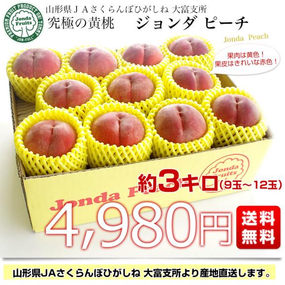山形県より産地直送 JAさくらんぼひがしね 大富支所 究極の黄桃 ジョンダピーチ (品種:黄金桃、きららのきわみ、他)約3キロ (9玉から12玉) 送料無料 桃 モモ もも03
