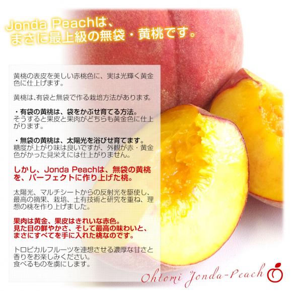 山形県より産地直送 JAさくらんぼひがしね 大富支所 究極の黄桃 ジョンダピーチ (品種:黄金桃、きららのきわみ、他)約3キロ (9玉から12玉) 送料無料 桃 モモ もも05