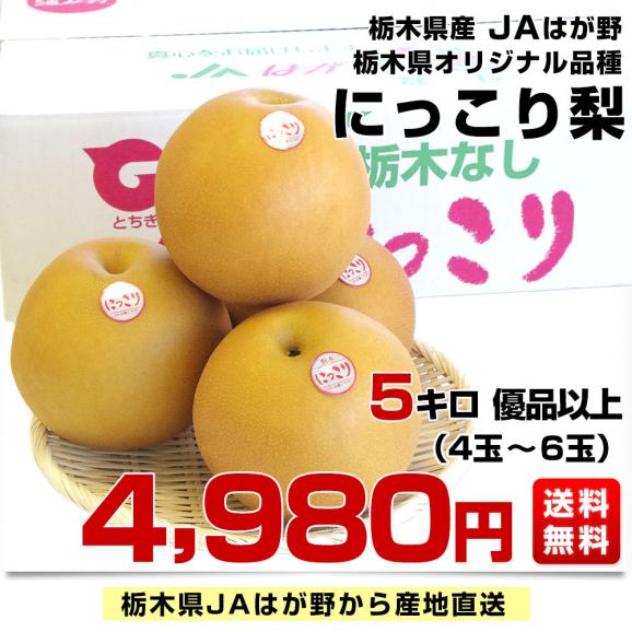 栃木県より産地直送 JAはが野 にっこり梨 大玉 5キロ (4玉から6玉)送料無料 優品以上 なし 梨 ナシ03