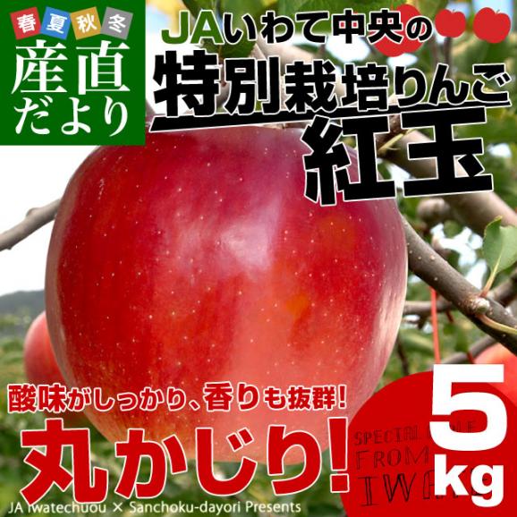 岩手県より産地直送 JAいわて中央 特別栽培りんご 紅玉 約5キロ(20玉から25玉) こうぎょく 林檎 リンゴ 送料無料02