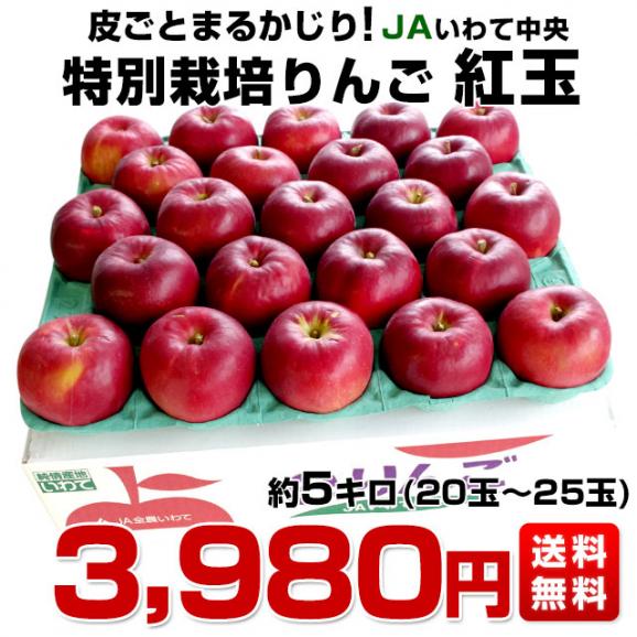岩手県より産地直送 JAいわて中央 特別栽培りんご 紅玉 約5キロ(20玉から25玉) こうぎょく 林檎 リンゴ 送料無料03