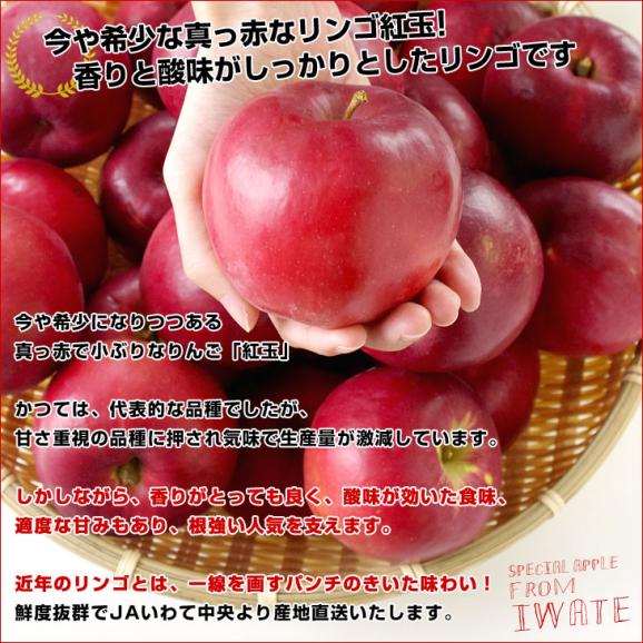 岩手県より産地直送 JAいわて中央 特別栽培りんご 紅玉 約5キロ(20玉から25玉) こうぎょく 林檎 リンゴ 送料無料05