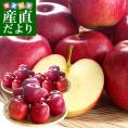 山形県より産地直送 山形朝日町APPLE’S 秋陽りんご 約9～10キロ 林檎 リンゴ 送料無料