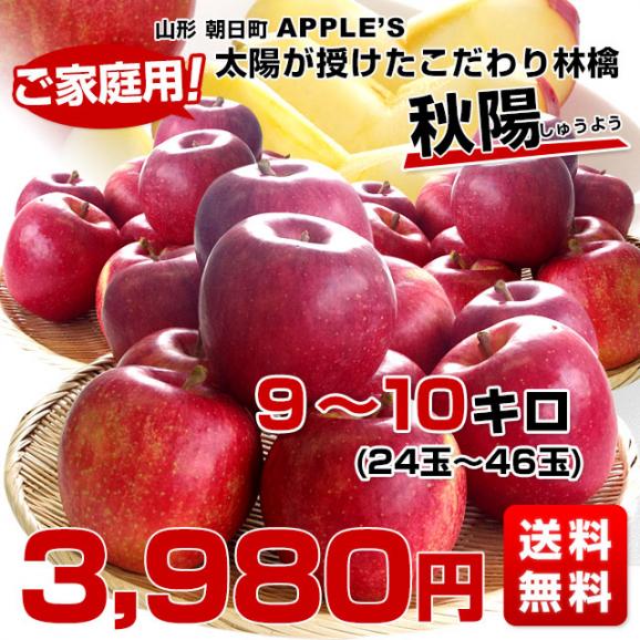 山形県より産地直送 山形朝日町APPLE’S 秋陽りんご 約9～10キロ 林檎 リンゴ 送料無料03