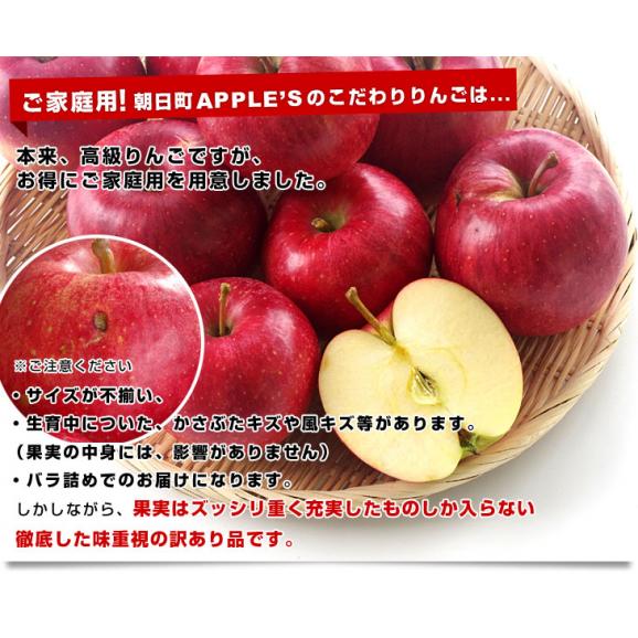 山形県より産地直送 山形朝日町APPLE’S 秋陽りんご 約9～10キロ 林檎 リンゴ 送料無料04