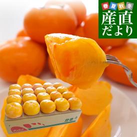 和歌山県より産地直送 JA紀の里 たねなし柿 2LからMサイズ 3.75キロ(16玉から20玉) 送料無料 カキ かき 柿