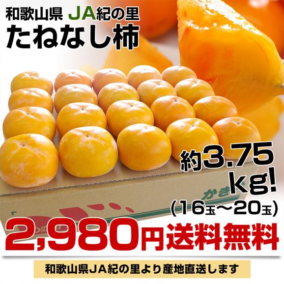 和歌山県より産地直送 JA紀の里 たねなし柿 2LからMサイズ 3.75キロ(16玉から20玉) 送料無料 カキ かき 柿03