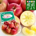 青森県産 JA津軽みらい 蜜入りりんご「こみつ」 秀品 2キロ (7玉から12玉) 送料無料 林檎 りんご