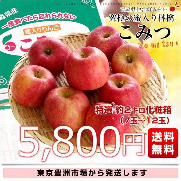 期間限定価格商品 青森県産 JA津軽みらい 蜜入り林檎 こみつ 特選 2キロ (7玉から 果物
