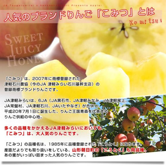 青森県産 JA津軽みらい 蜜入りりんご「こみつ」 秀品 2キロ (7玉から12玉) 送料無料 林檎 りんご04