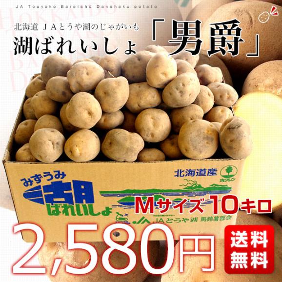 北海道より産地直送 JAとうや湖 じゃがいも 湖ばれいしょ「男爵」 Mサイズ 10キロ 馬鈴薯 ジャガイモ  送料無料03