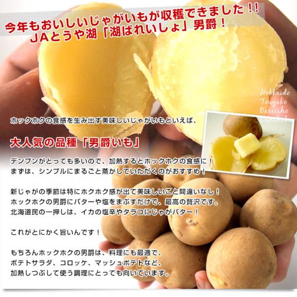 北海道より産地直送 JAとうや湖 じゃがいも 湖ばれいしょ「男爵」 Mサイズ 10キロ 馬鈴薯 ジャガイモ  送料無料04