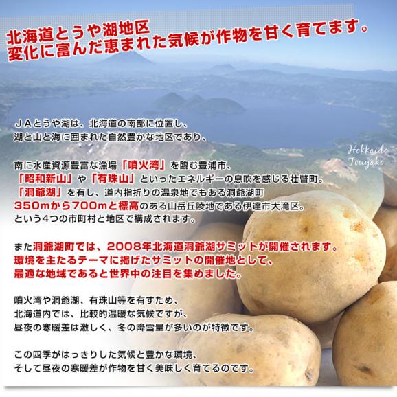 北海道より産地直送 JAとうや湖 じゃがいも 湖ばれいしょ「男爵」 Mサイズ 10キロ 馬鈴薯 ジャガイモ  送料無料05