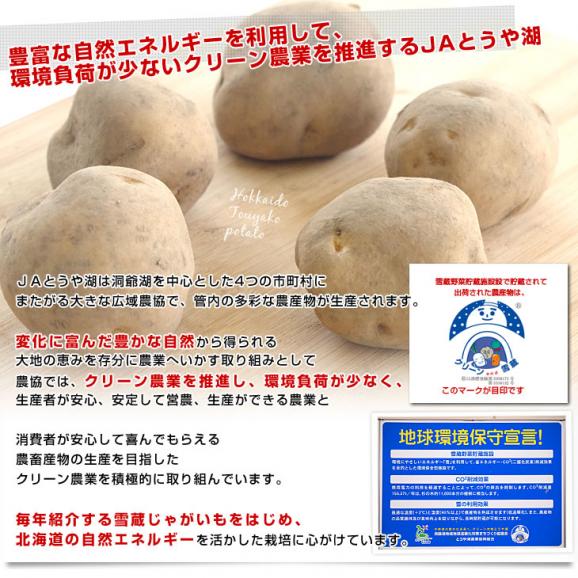 北海道より産地直送 JAとうや湖 じゃがいも 湖ばれいしょ「男爵」 Mサイズ 10キロ 馬鈴薯 ジャガイモ  送料無料06